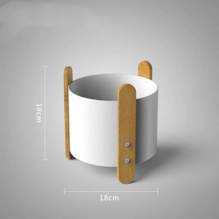 Minimalist Iron Planter: Nordic Style Indoor Pot for Succulents